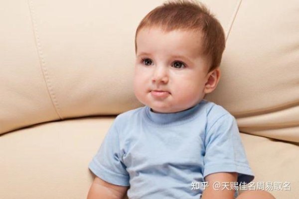 兔宝宝取名指南，如何选择最佳名字？-新乐天