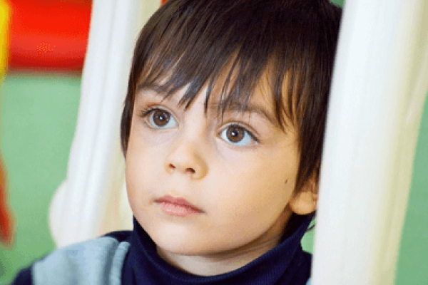 狗宝宝取名大全 2018款，为你的宠物寻找一个独特的名字-新乐天