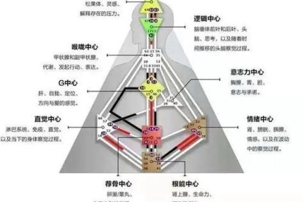 摩羯星群与T型大三角，挑战中显坚韧，智慧助力破局-新乐天