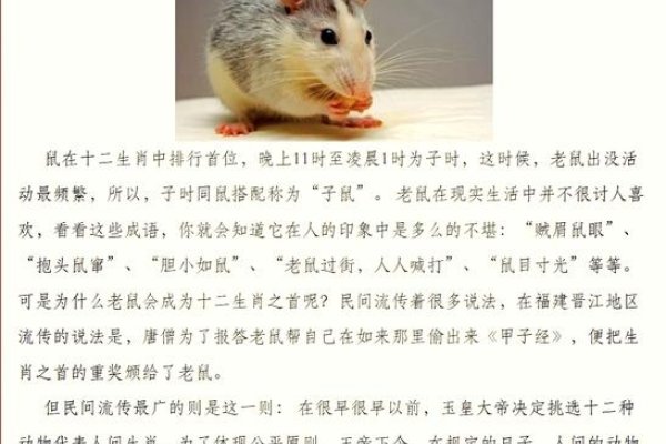 揭秘鼠头鼠尾，探究生肖之谜-新乐天