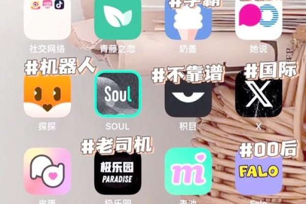 杭州聊天室，打破社交边界，开启线上交友新体验-新乐天