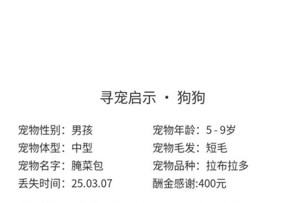 寻觅宠物灵动名，探索宠物名字背后的无尽惊喜-新乐天
