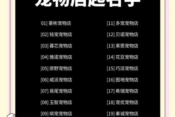 炫舞宠物名字，打造独一无二的个性风采-新乐天