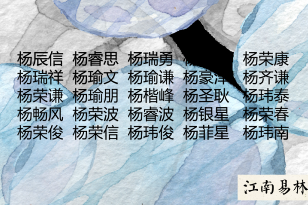 杨姓男孩名字大全-新乐天