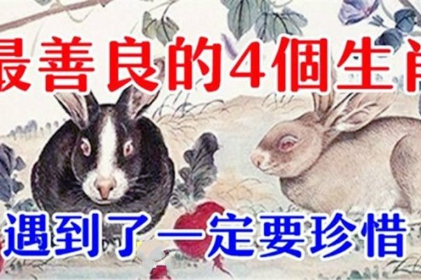 恭恭敬敬打一生肖—探寻生肖中的敬畏之道-新乐天