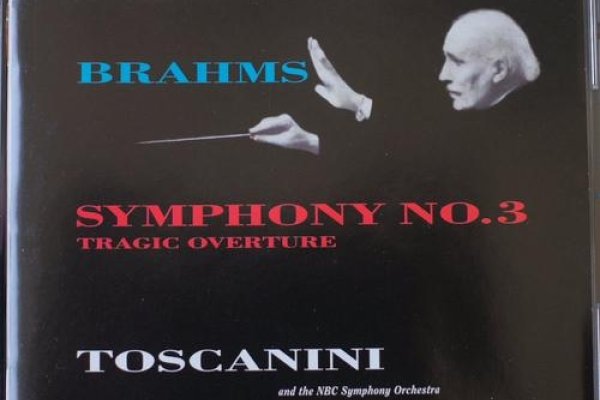 Carlotta，音乐与生活的交响乐章-新乐天