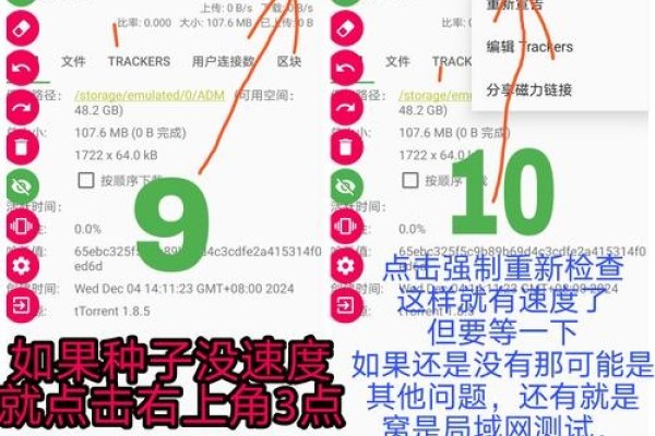AVBT种子下载，探索数字世界的种子之源-新乐天