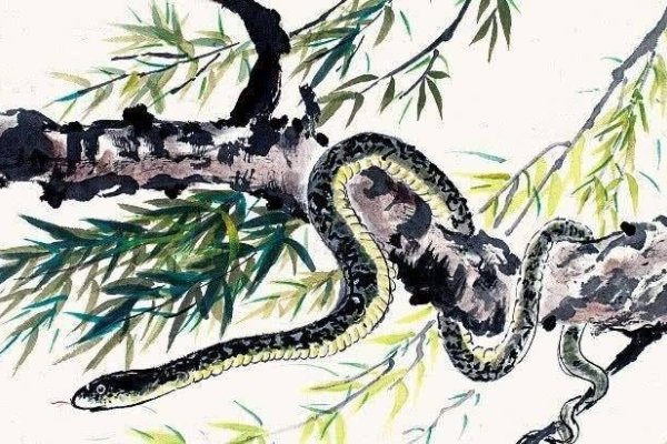 揭秘2025年的生肖—蛇的独特魅力-新乐天