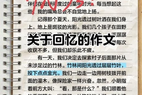 2010年的回忆与展望-新乐天