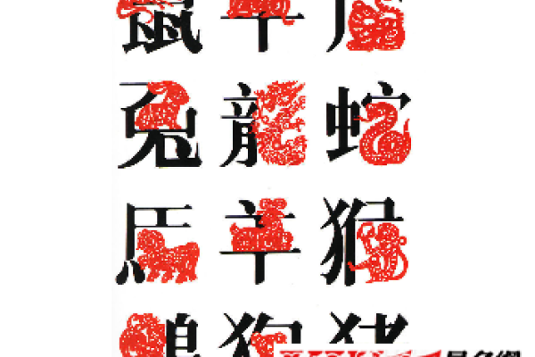 1996年属相解析-新乐天