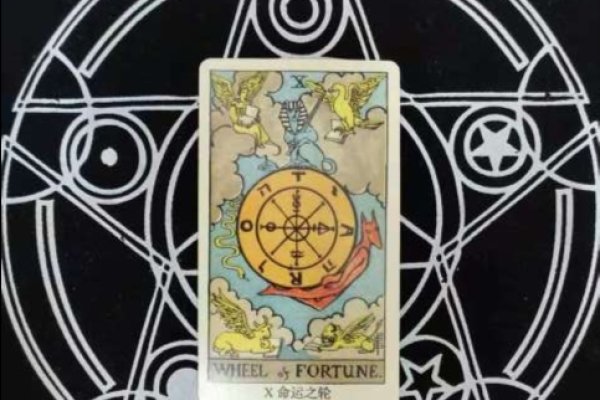 新浪塔罗牌在线占卜，探索未知的命运之路-新乐天