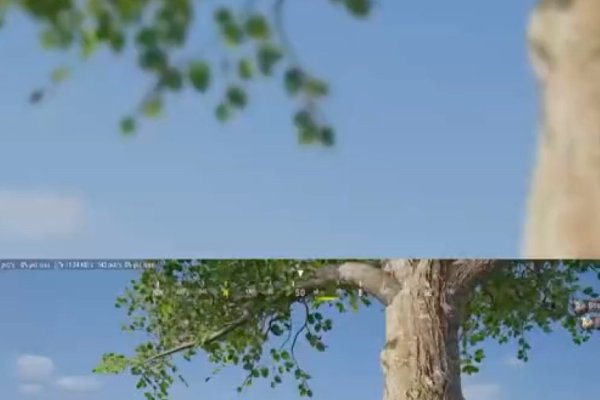 奶凶奶凶的吃鸡ID,游戏里的独特风采-新乐天