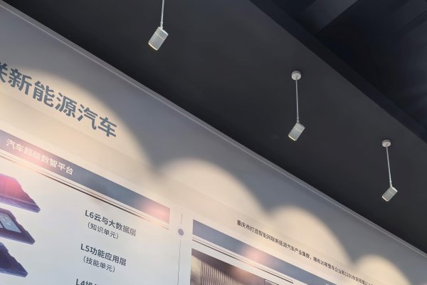 雷小翼，科技创新的领航者-新乐天