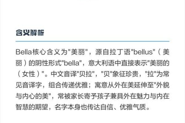 Bella的含义解析-新乐天