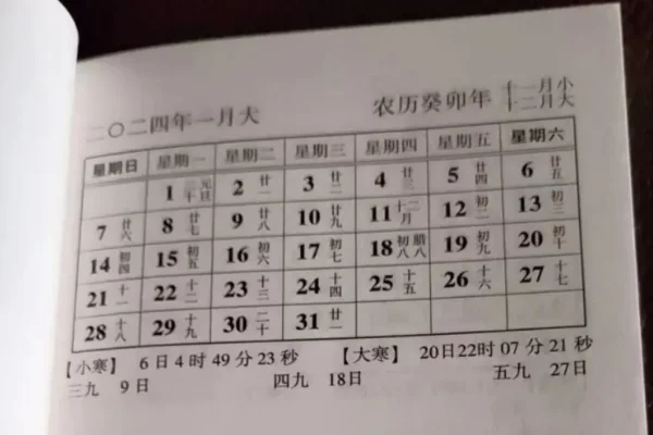 2024年2月日历展望-新乐天