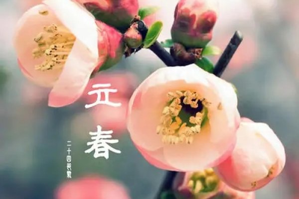2021年立春的准确时刻-新乐天