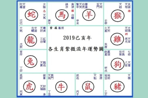揭秘2019生肖号码表-新乐天