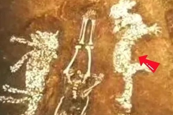 揭秘2012，龙年的神秘面纱-新乐天