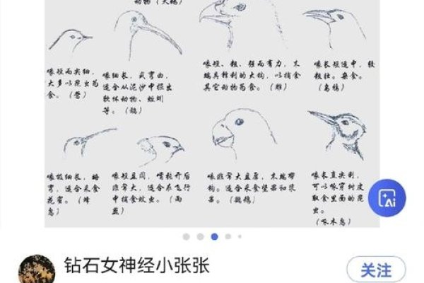 Sherry的含义解析-新乐天