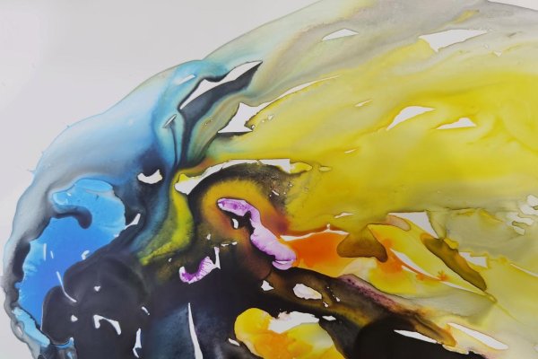 Clementine的诗意与色彩-新乐天