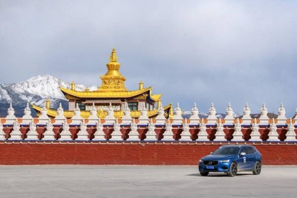 揭秘2023兔年，探寻其背后的意义与特色-新乐天