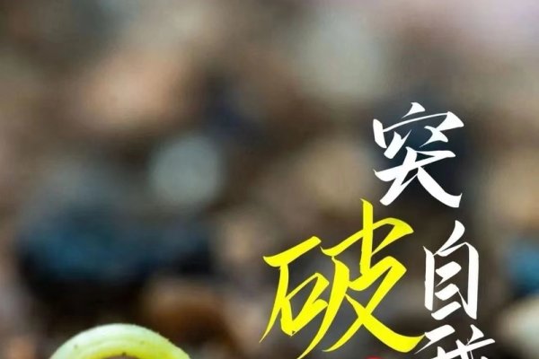 2022年，一个充满希望的转折之年-新乐天