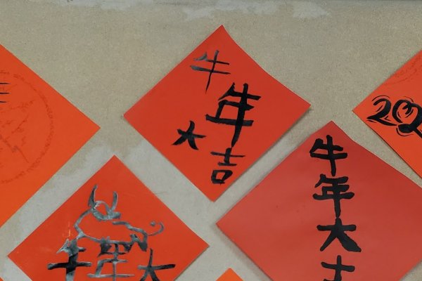 2021年生肖揭晓，牛年大吉-新乐天