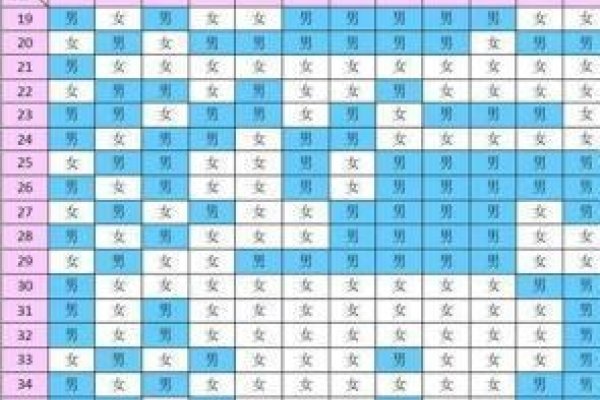 揭秘2019年清宫表正版，历史传承与现代应用-新乐天