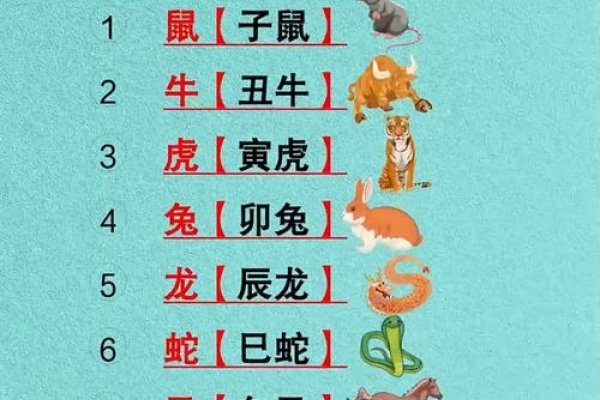 揭秘2012年属什么生肖?-新乐天