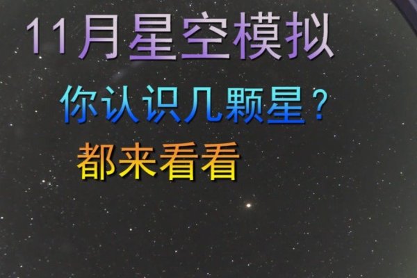 揭秘11月8日的星座之谜-新乐天