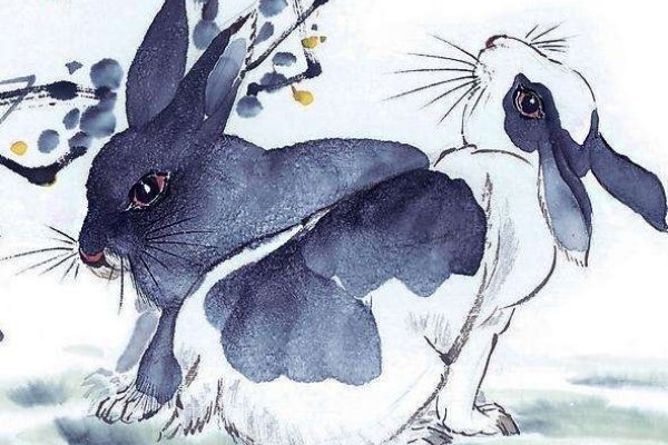 揭秘属兔人在36岁面临的挑战与机遇—以87年属兔者为例-新乐天