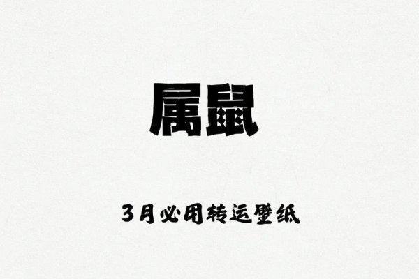 2023年属鼠运势展望,大事频发的机遇之年-新乐天