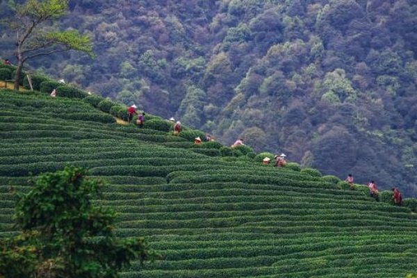 2023年上坟最佳时间指南-新乐天