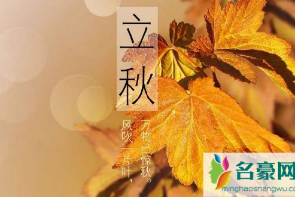 2022年立春时间几点-新乐天