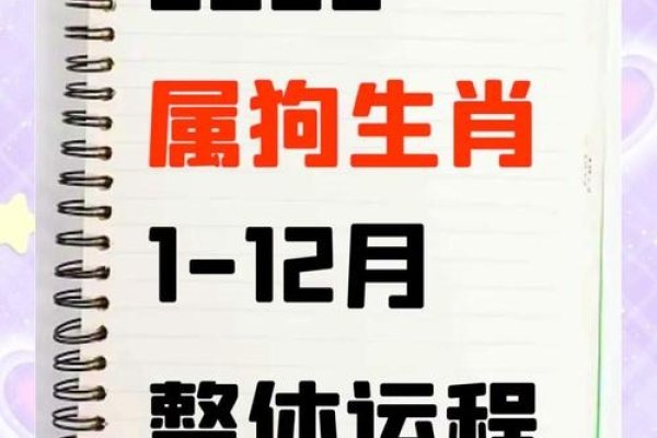 2018年，生肖之年的回顾与展望-新乐天