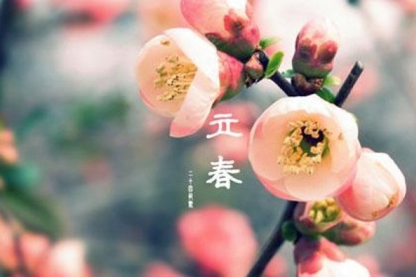 2014年立春时间及意义-新乐天