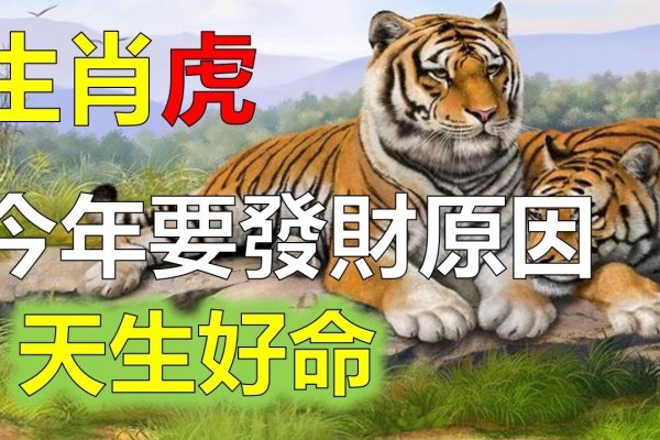 2012年属虎人的运程展望-新乐天