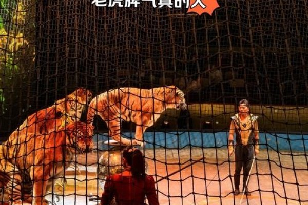 揭秘2010年生肖年—虎年风云际会-新乐天