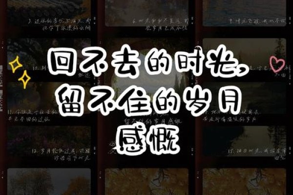 2005年至今，时光流转，我们已长大-新乐天