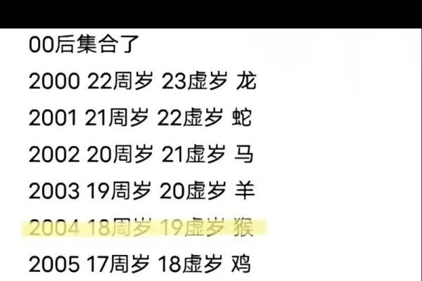 2004年的现在年龄揭秘-新乐天