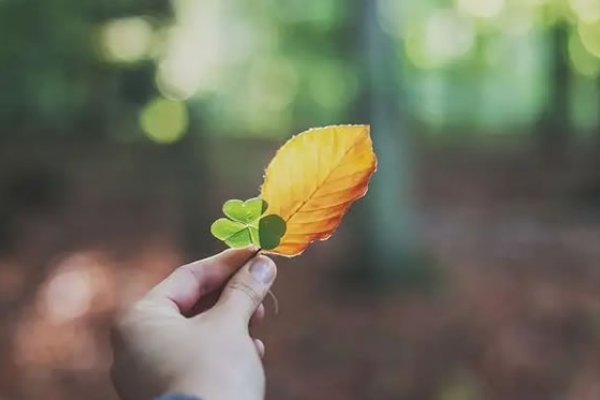 2023年犯太岁如何化解-新乐天