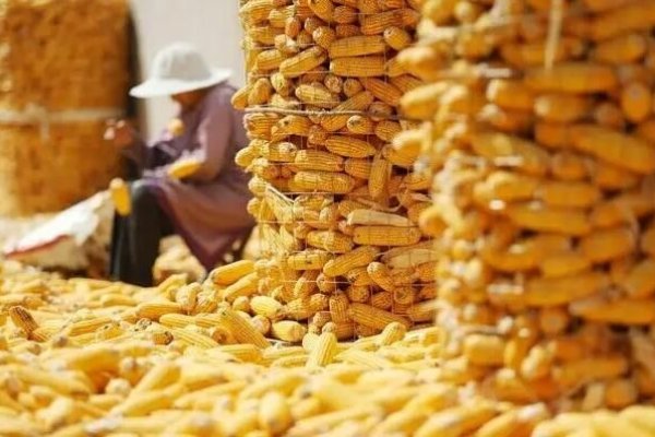 2020年立秋，标志秋季开始，影响农事活动-新乐天