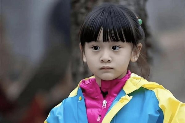 揭秘森碟一词的流行与含义-新乐天