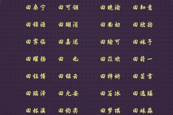 田姓男孩起名，灵动之名，展现独特气质-新乐天