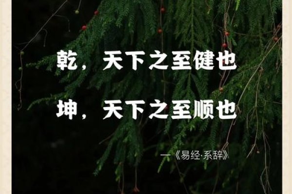 犬吠测吉凶法，智慧之道，洞察世态之变幻-新乐天
