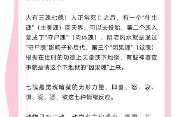 探索灵魂奥秘，前世死因分析-新乐天
