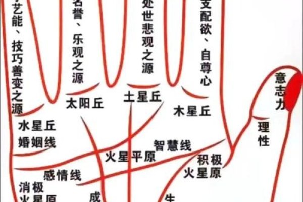 揭秘男性手相，从掌纹洞悉命运与性格-新乐天