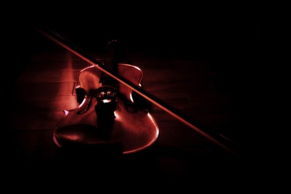 1. 灵感来源于音乐元素-新乐天