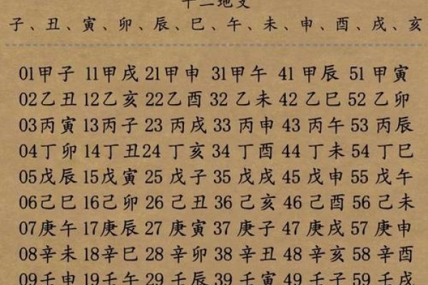 2008年历，传统干支计算与未来趋势预测的融合探索-新乐天