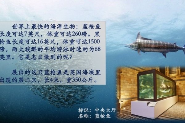 探索Thorne的多维度魅力，从文学到自然的奇妙之旅-新乐天